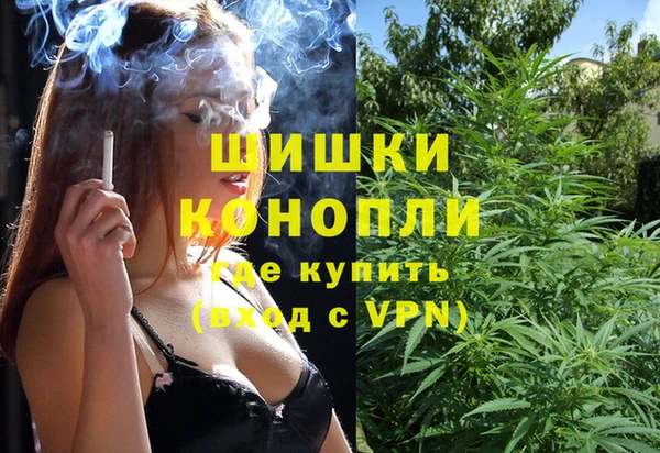 mdpv Горно-Алтайск